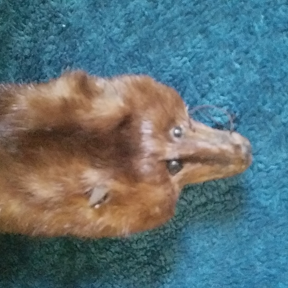 Mink full pelt stall - Picture 3 of 8
